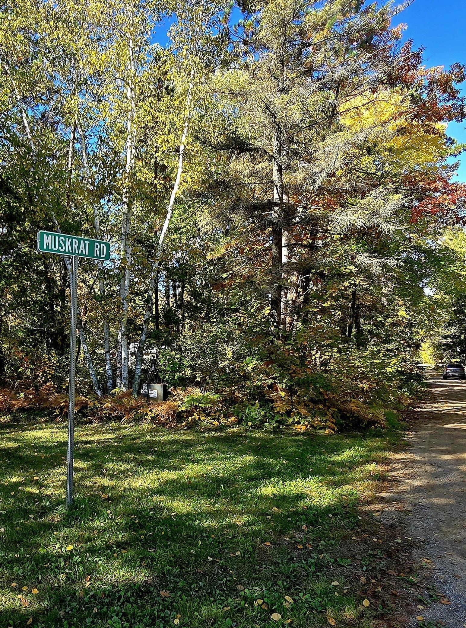 1975 single family home for sale at 34335 Muskrat Road in Laporte, MN — 2 bed, 2 bath (photo 9 of 23)