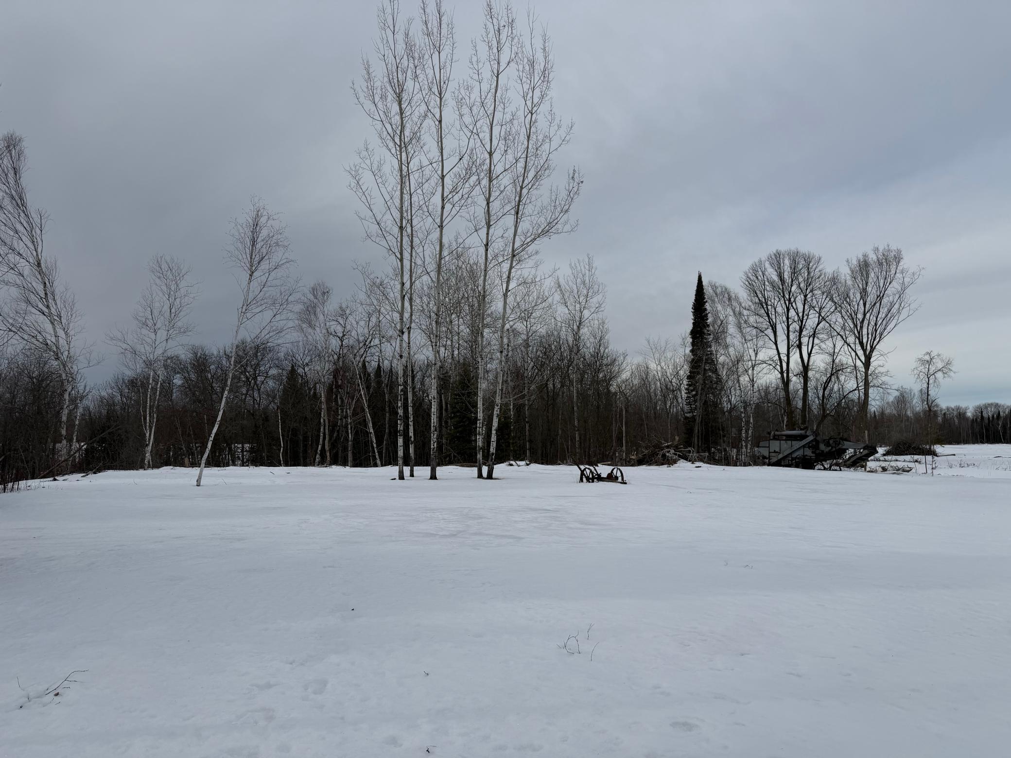 2006 single family home for sale at 1736 67th Street SW in Baudette, MN — 1 bed, 1 bath (photo 18 of 24)