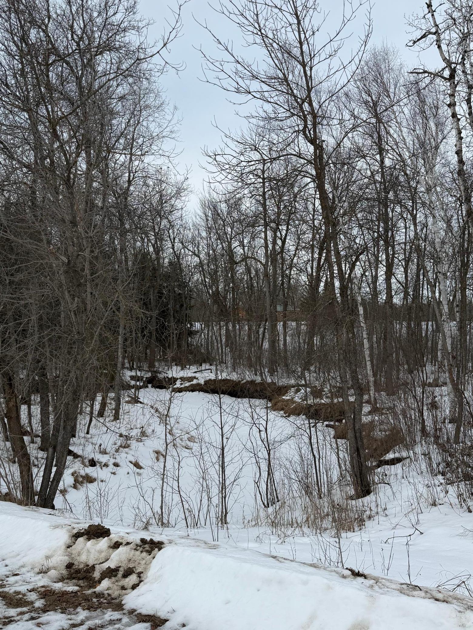 2006 single family home for sale at 1736 67th Street SW in Baudette, MN — 1 bed, 1 bath (photo 20 of 24)