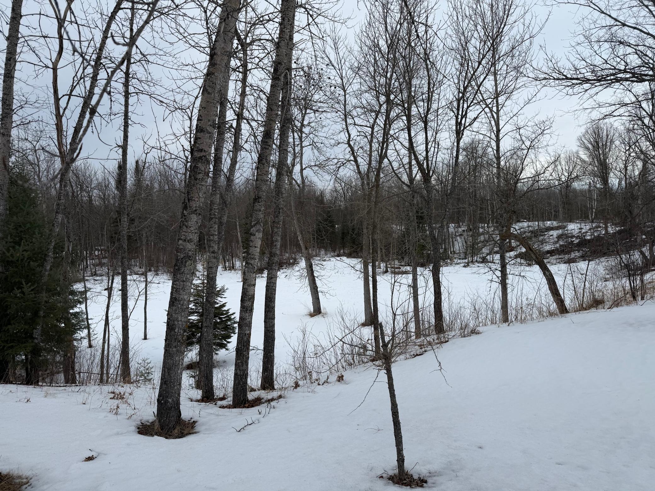 2006 single family home for sale at 1736 67th Street SW in Baudette, MN — 1 bed, 1 bath (photo 23 of 24)