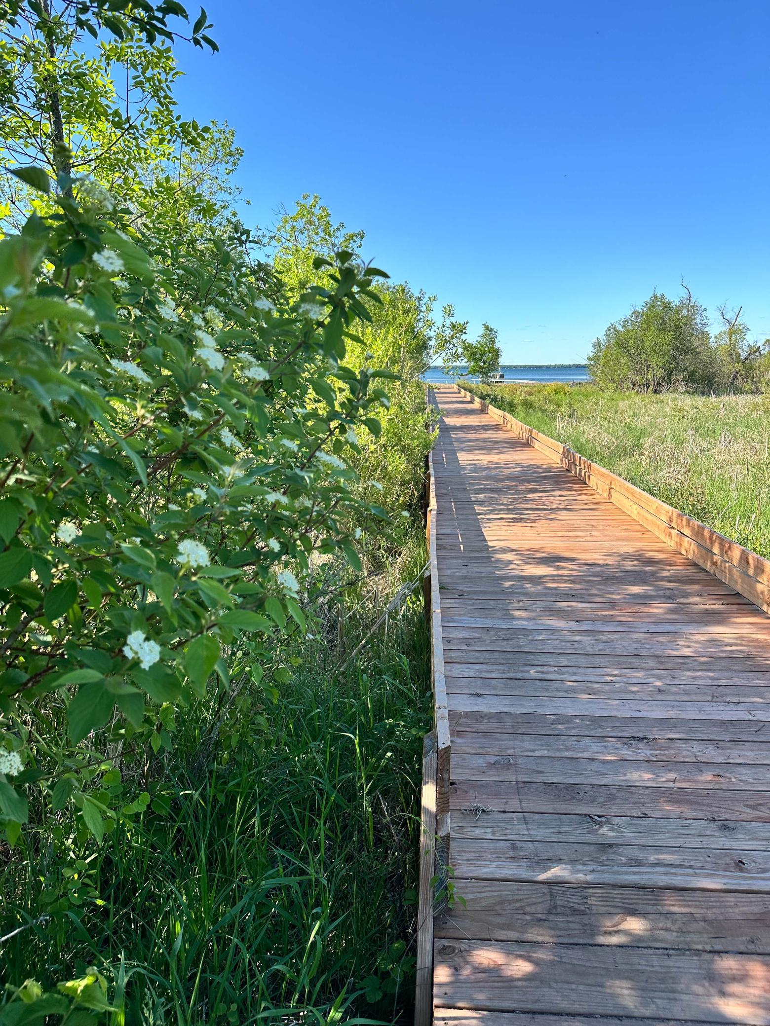 land for sale at Lot C Norwood Lane in Battle Lake, MN (photo 10 of 15)