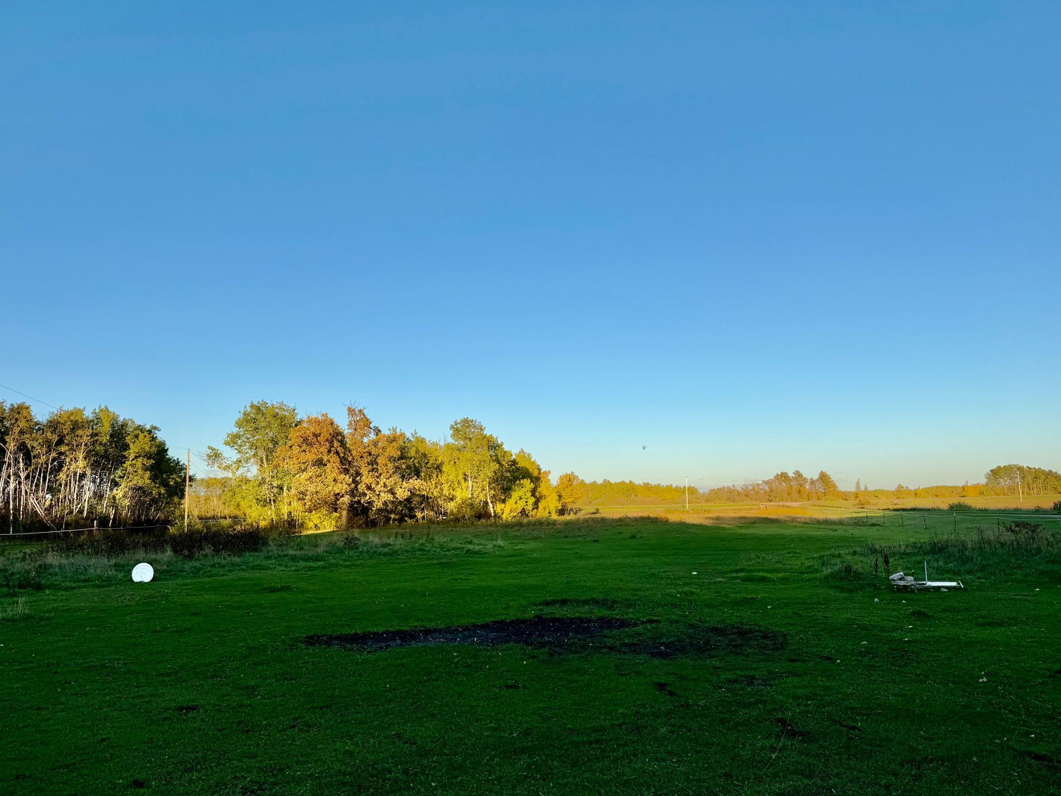1950 single family home for sale at 37871 US Highway 59 Highway NW in Newfolden, MN — 4 bed, 2 bath (photo 22 of 23)