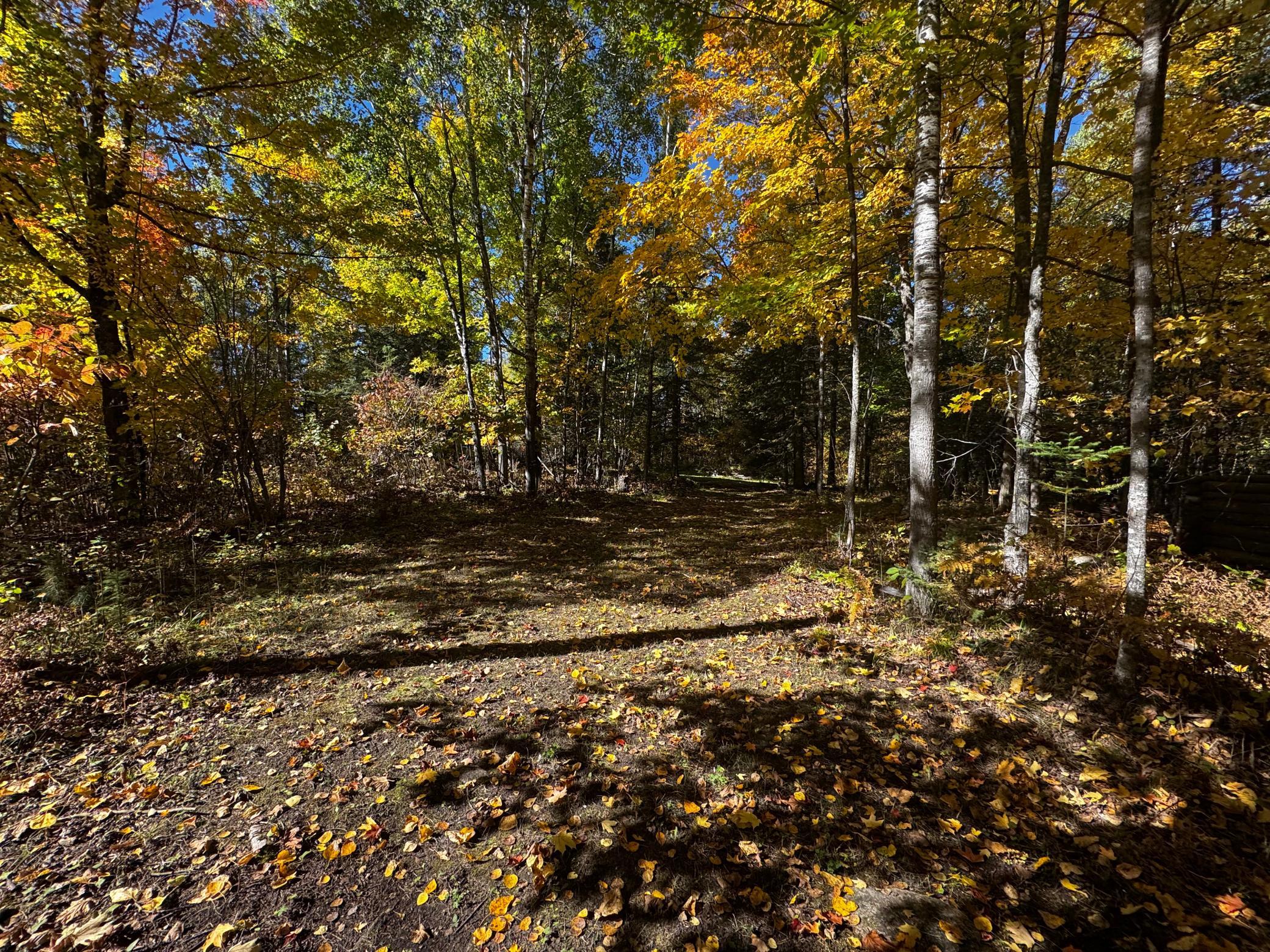 1990 single family home for sale at 41748 Teal RD in Bigfork, MN — 2 bed, 1 bath (photo 12 of 27)
