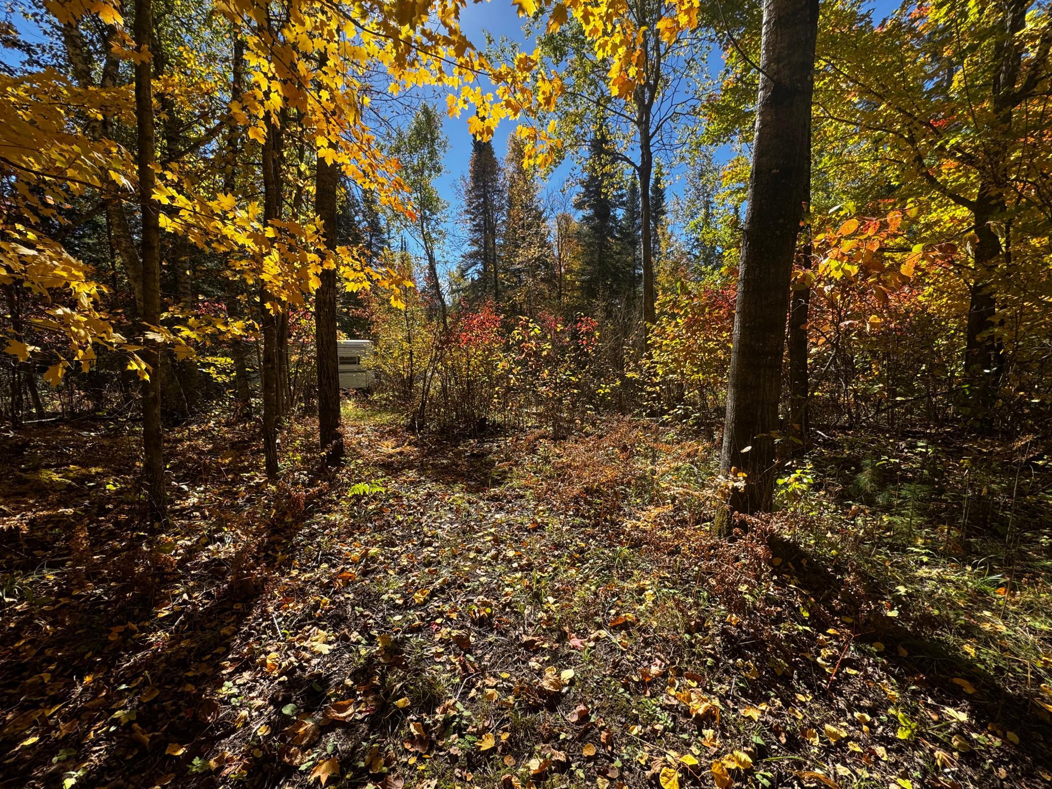 1990 single family home for sale at 41748 Teal RD in Bigfork, MN — 2 bed, 1 bath (photo 13 of 27)