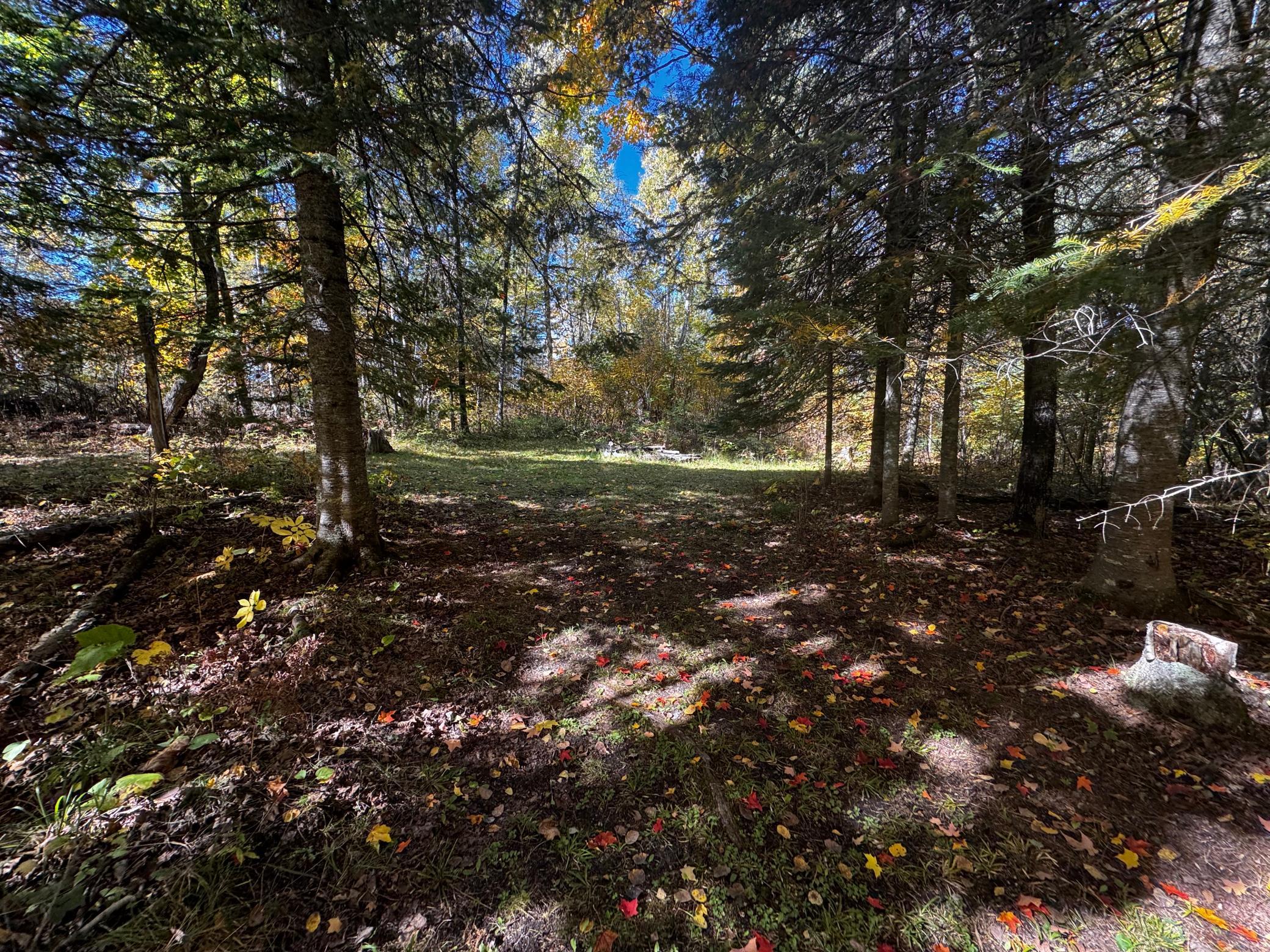 1990 single family home for sale at 41748 Teal RD in Bigfork, MN — 2 bed, 1 bath (photo 15 of 27)