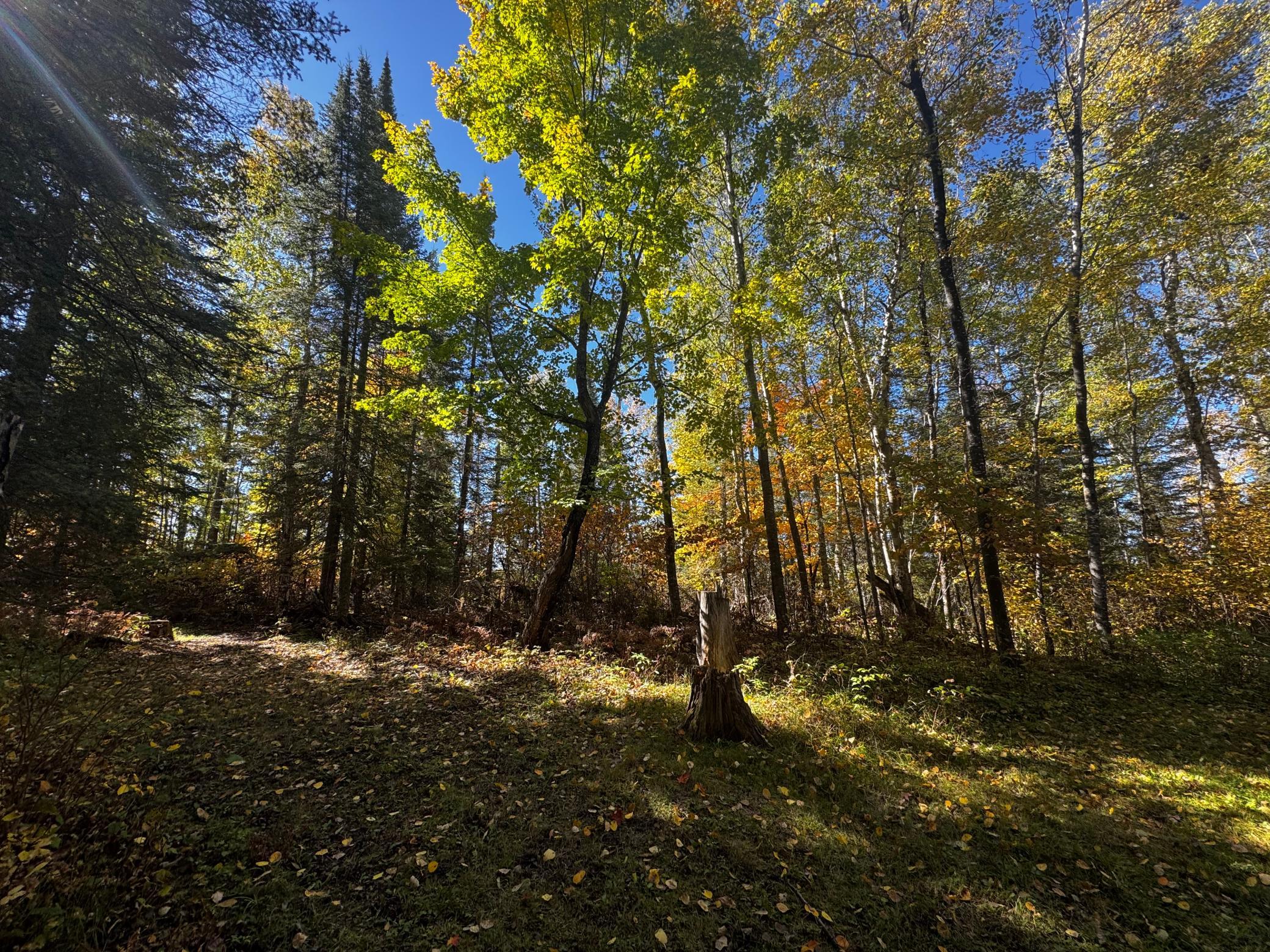 1990 single family home for sale at 41748 Teal RD in Bigfork, MN — 2 bed, 1 bath (photo 16 of 27)