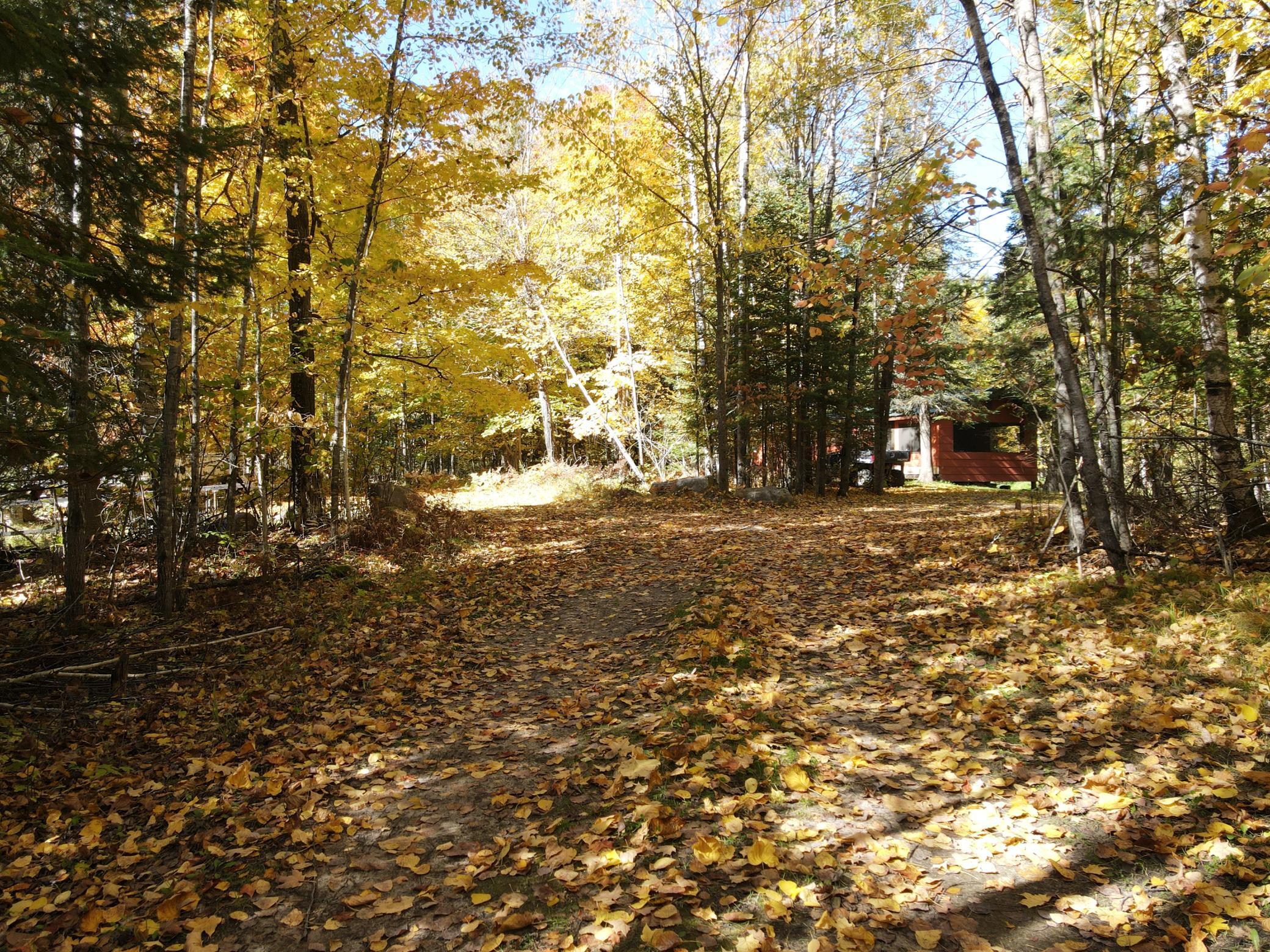 1990 single family home for sale at 41748 Teal RD in Bigfork, MN — 2 bed, 1 bath (photo 3 of 27)