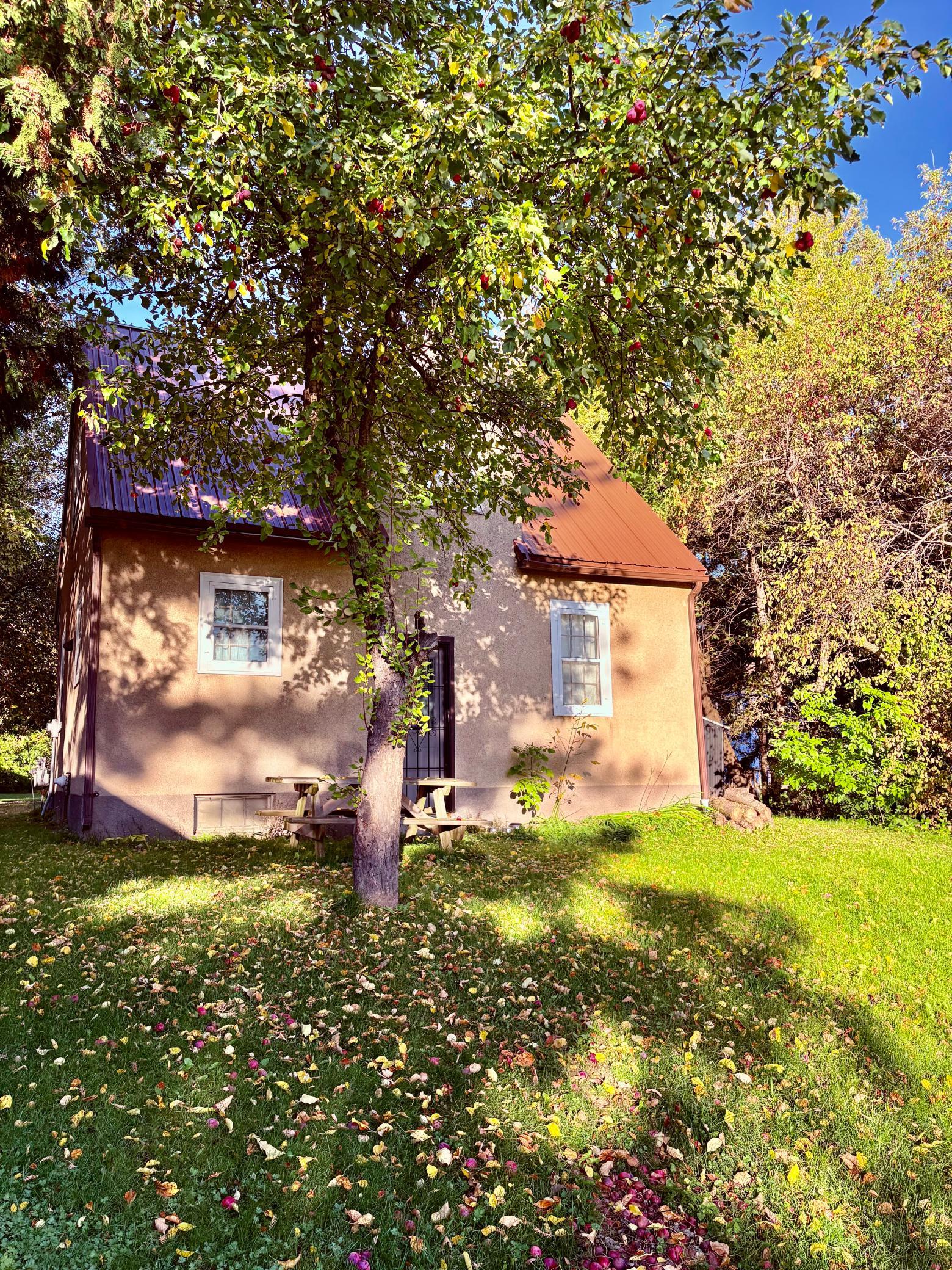 1945 single family home for sale at 311 Bay Avenue SE in Baudette, MN — 3 bed, 2 bath (photo 11 of 34)