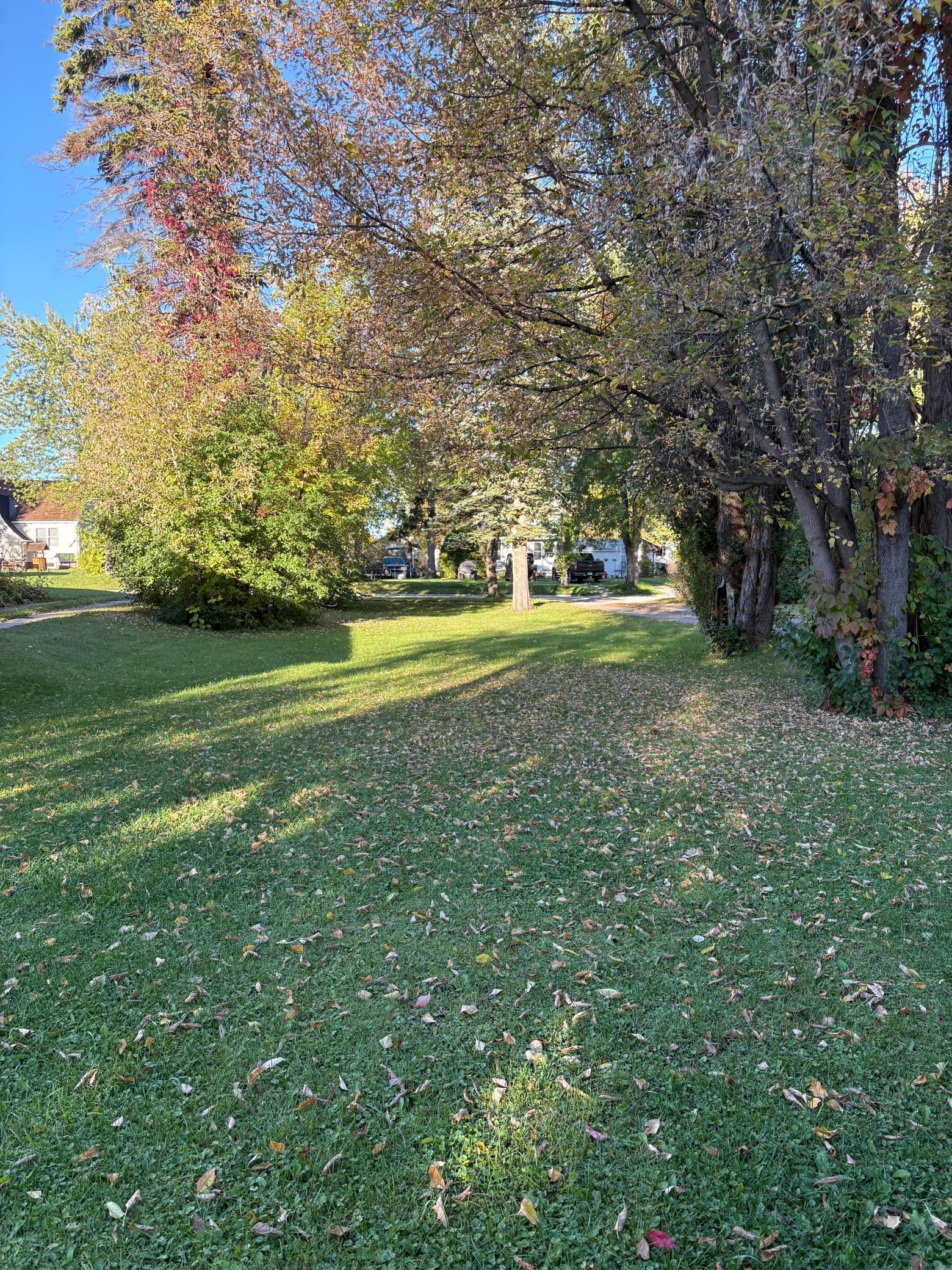 1945 single family home for sale at 311 Bay Avenue SE in Baudette, MN — 3 bed, 2 bath (photo 32 of 34)