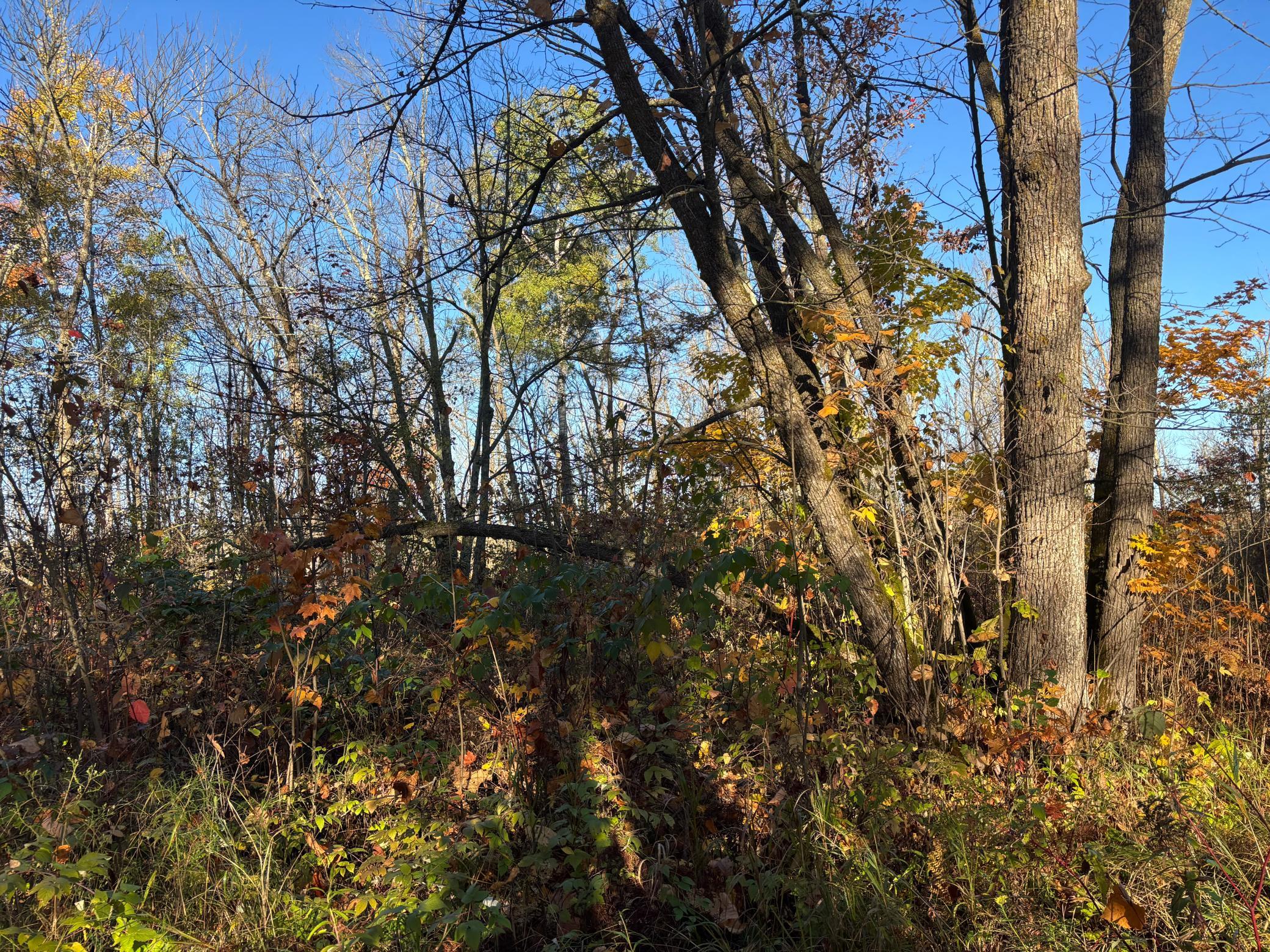 2001 land for sale at 28717 Kestrel Avenue in Sturgeon Lake, MN (photo 16 of 18)