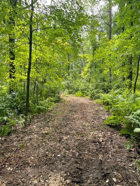 land for sale at TBD Lacy Lane SW in Pequot Lakes, MN