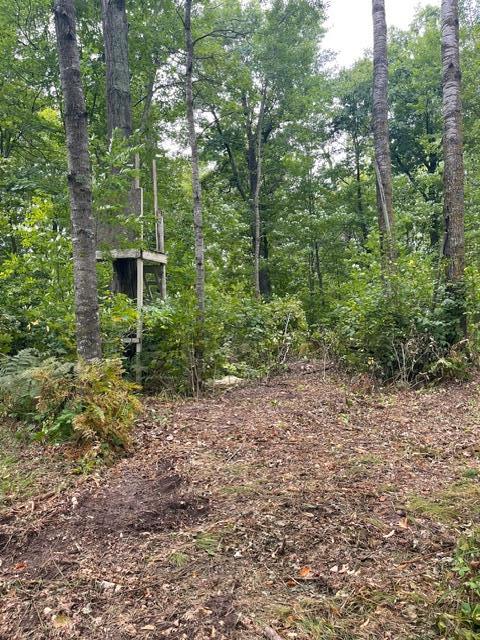 land for sale at TBD Lacy Lane SW in Pequot Lakes, MN (photo 2 of 26)