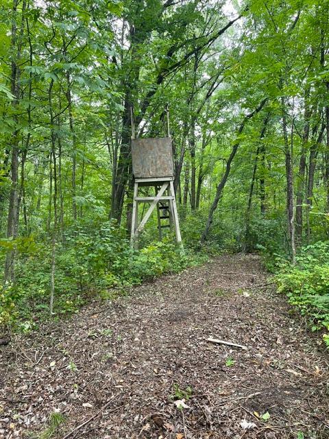 land for sale at TBD Lacy Lane SW in Pequot Lakes, MN (photo 11 of 26)