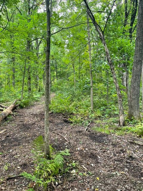 land for sale at TBD Lacy Lane SW in Pequot Lakes, MN (photo 13 of 26)