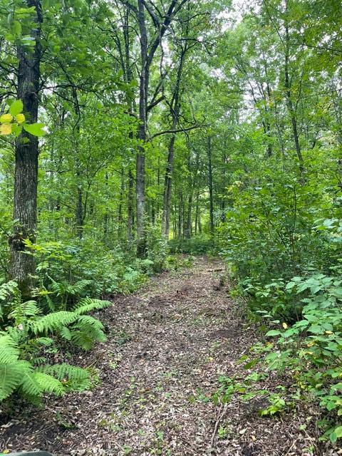 land for sale at TBD Lacy Lane SW in Pequot Lakes, MN (photo 15 of 26)