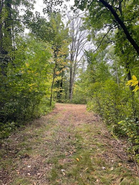 land for sale at TBD Lacy Lane SW in Pequot Lakes, MN (photo 16 of 26)