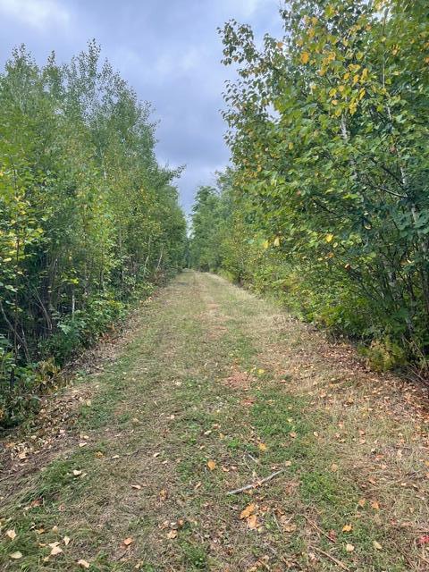 land for sale at TBD Lacy Lane SW in Pequot Lakes, MN (photo 17 of 26)