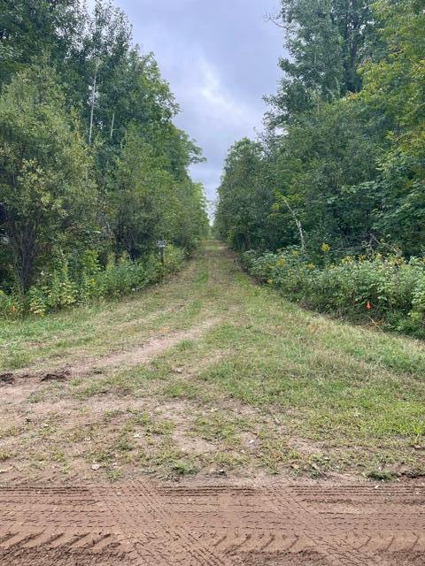 land for sale at TBD Lacy Lane SW in Pequot Lakes, MN (photo 18 of 26)