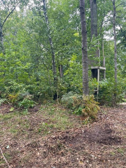 land for sale at TBD Lacy Lane SW in Pequot Lakes, MN (photo 3 of 26)