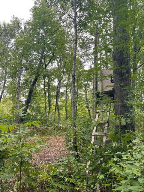 land for sale at TBD Lacy Lane SW in Pequot Lakes, MN (photo 4 of 26)