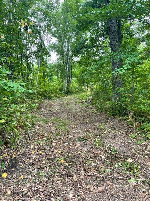 land for sale at TBD Lacy Lane SW in Pequot Lakes, MN (photo 5 of 26)