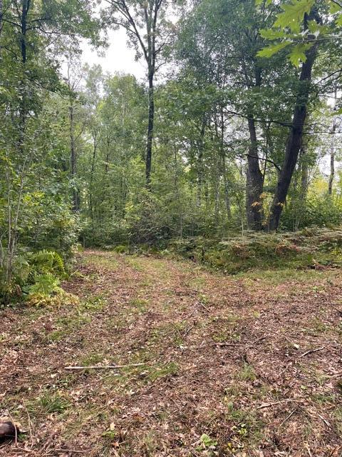 land for sale at TBD Lacy Lane SW in Pequot Lakes, MN (photo 6 of 26)
