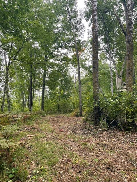 land for sale at TBD Lacy Lane SW in Pequot Lakes, MN (photo 7 of 26)