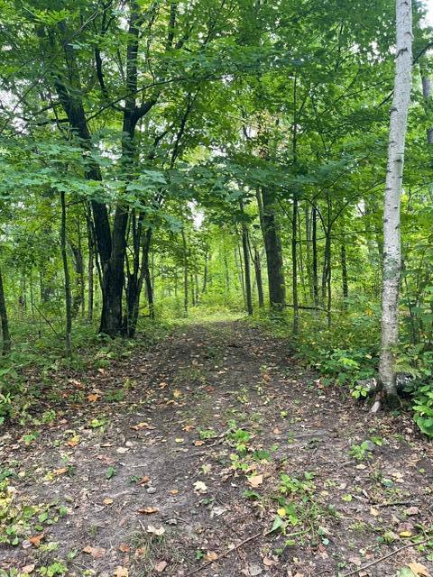 land for sale at TBD Lacy Lane SW in Pequot Lakes, MN (photo 8 of 26)
