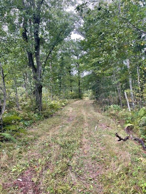 land for sale at TBD Lacy Lane SW in Pequot Lakes, MN (photo 9 of 26)