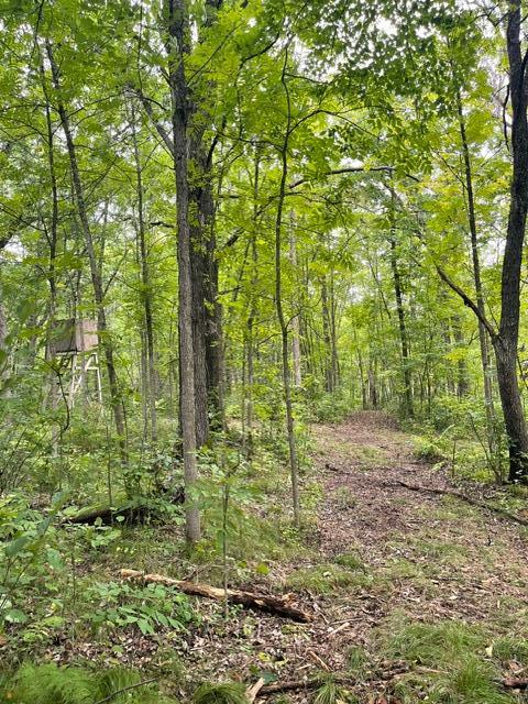 land for sale at TBD Lacy Lane SW in Pequot Lakes, MN (photo 10 of 26)