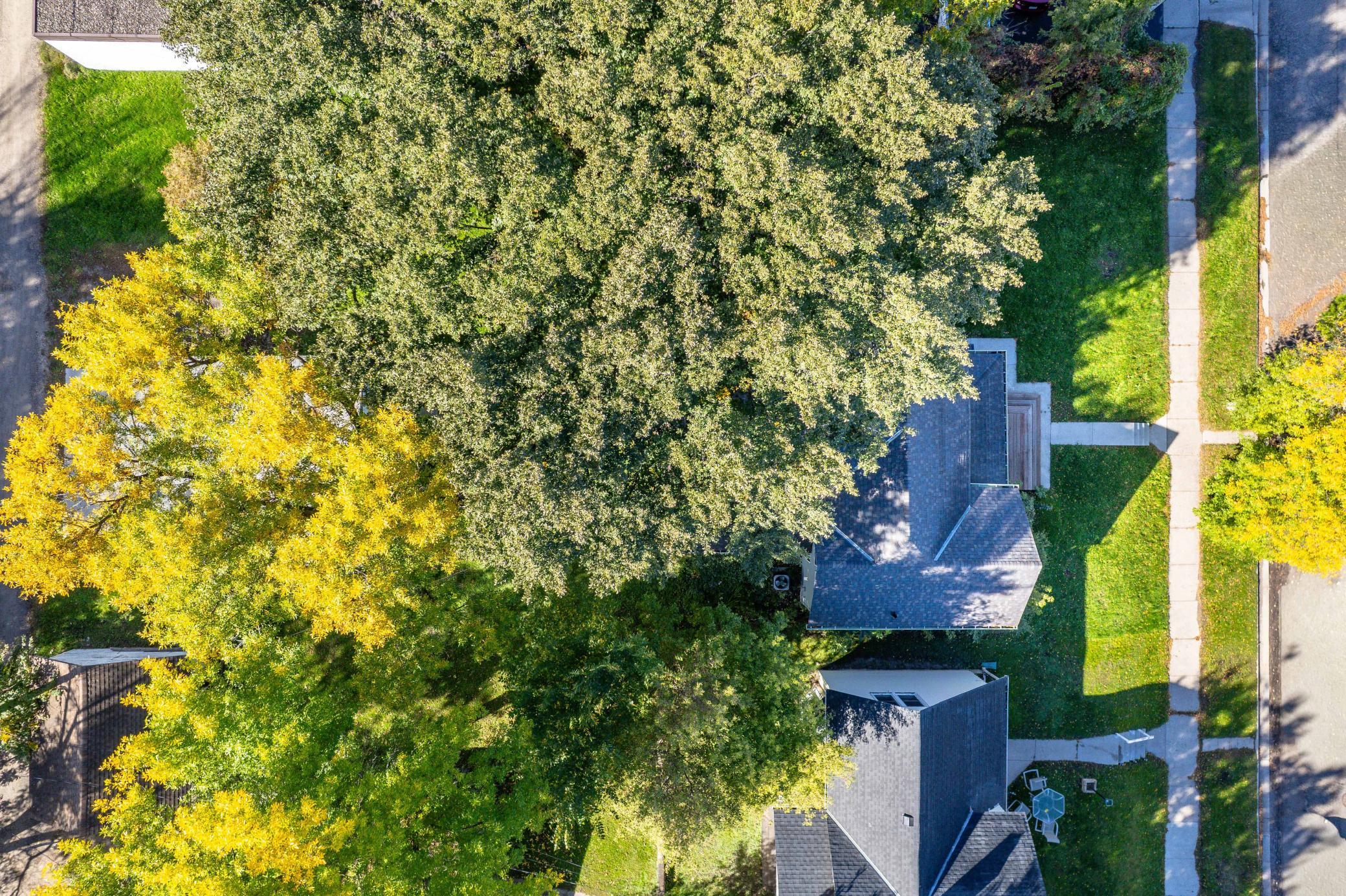 1895 single family home for sale at 514 E Hampden Avenue in Fergus Falls, MN — 3 bed, 2 bath (photo 63 of 63)