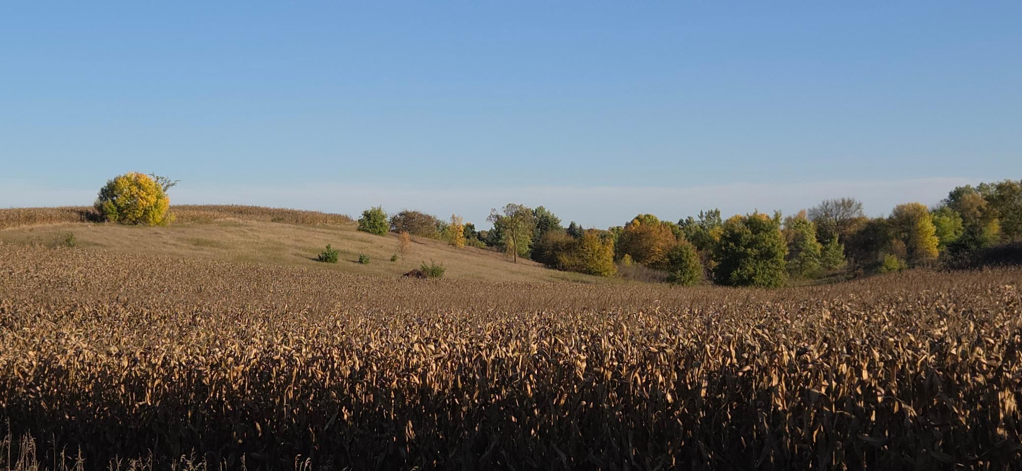 1926 land for sale at 1180 W Latoka Drive SW in Alexandria, MN (photo 22 of 38)