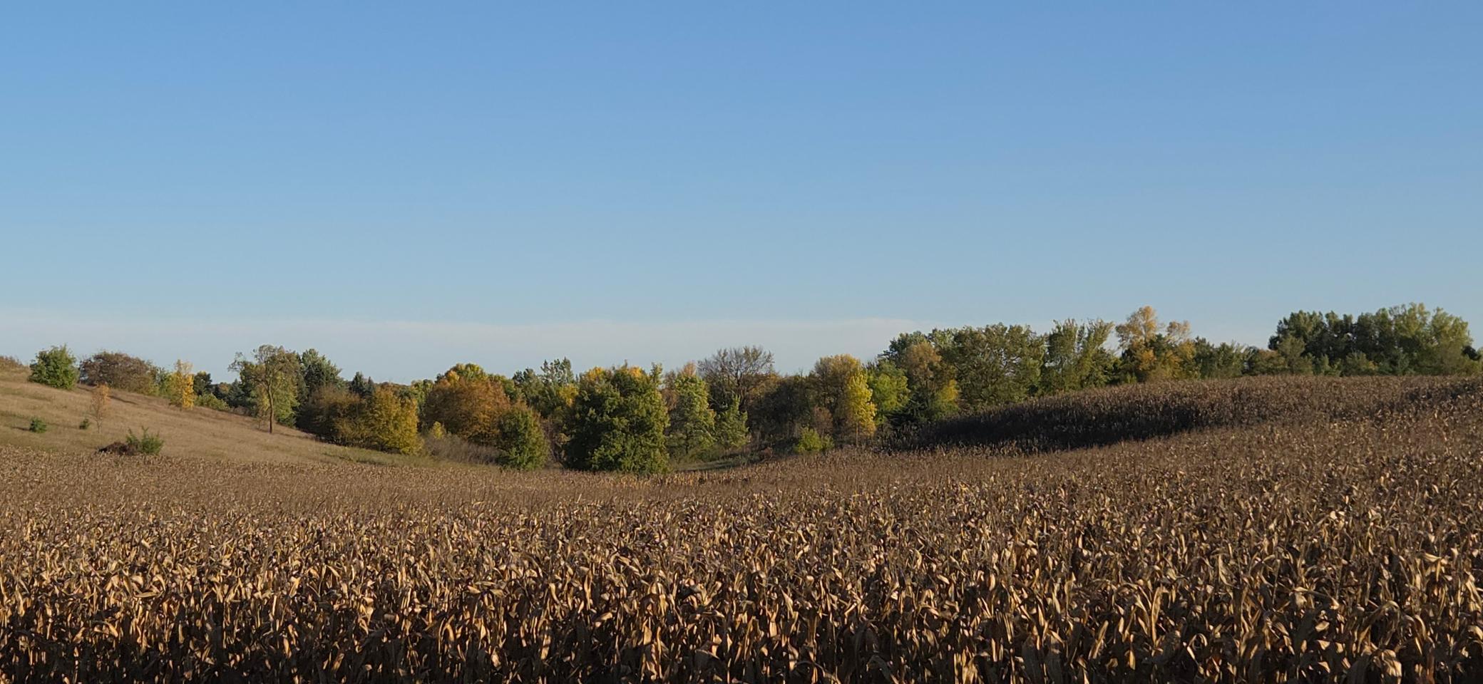 1926 land for sale at 1180 W Latoka Drive SW in Alexandria, MN (photo 23 of 38)