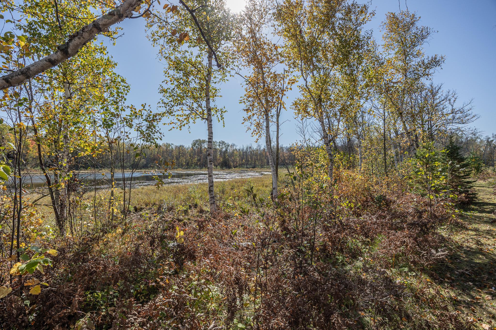 1989 single family home for sale at 2967 Diamond Crest Road NE in Longville, MN — 3 bed, 2 bath (photo 53 of 68)