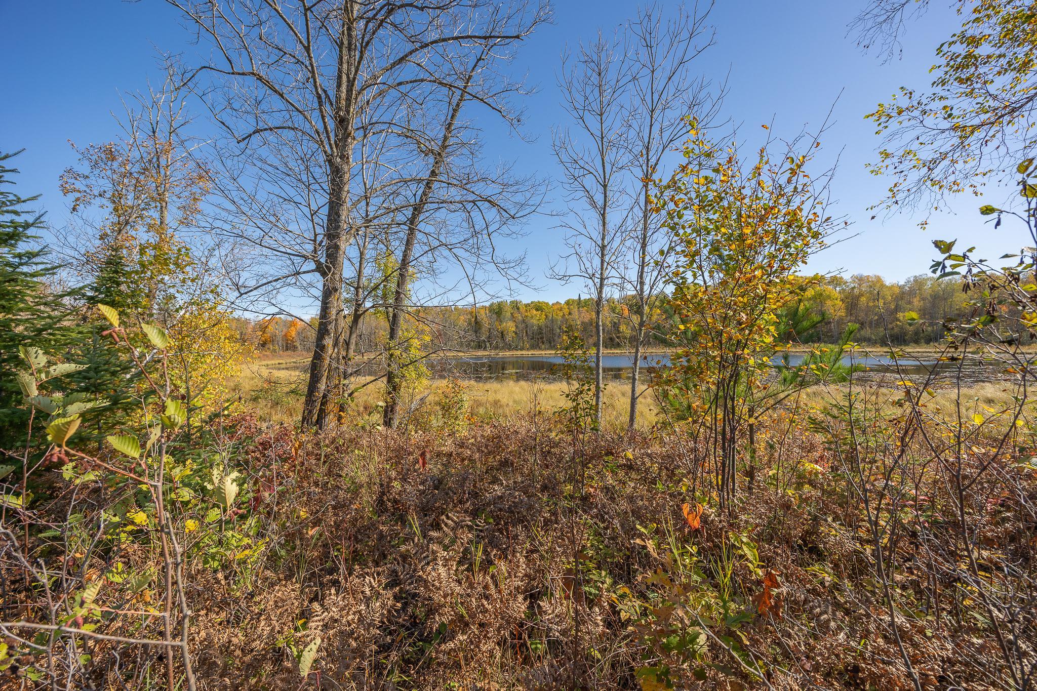 1989 single family home for sale at 2967 Diamond Crest Road NE in Longville, MN — 3 bed, 2 bath (photo 61 of 68)