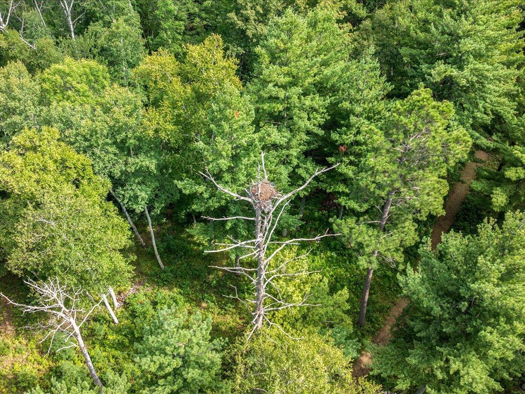 2003 single family home for sale at 9800 Trails End Road in Pequot Lakes, MN — 4 bed, 4 bath (photo 7 of 75)