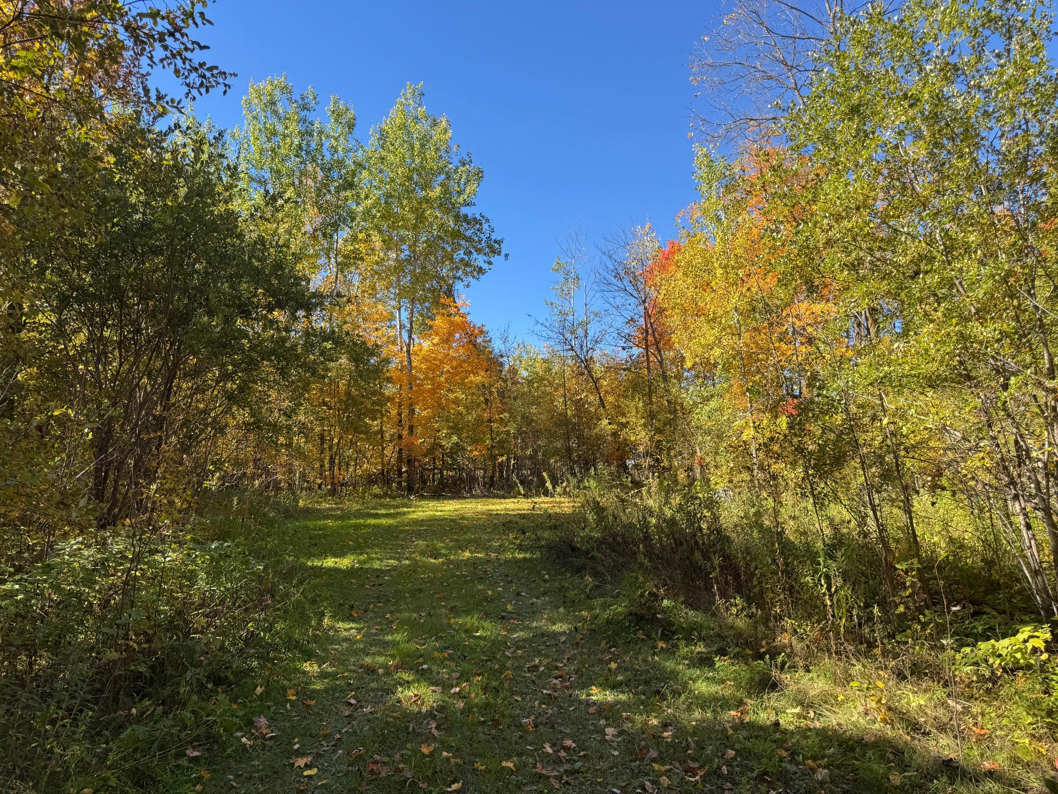 land for sale at 51265 Vagabond Loop in Bemidji, MN