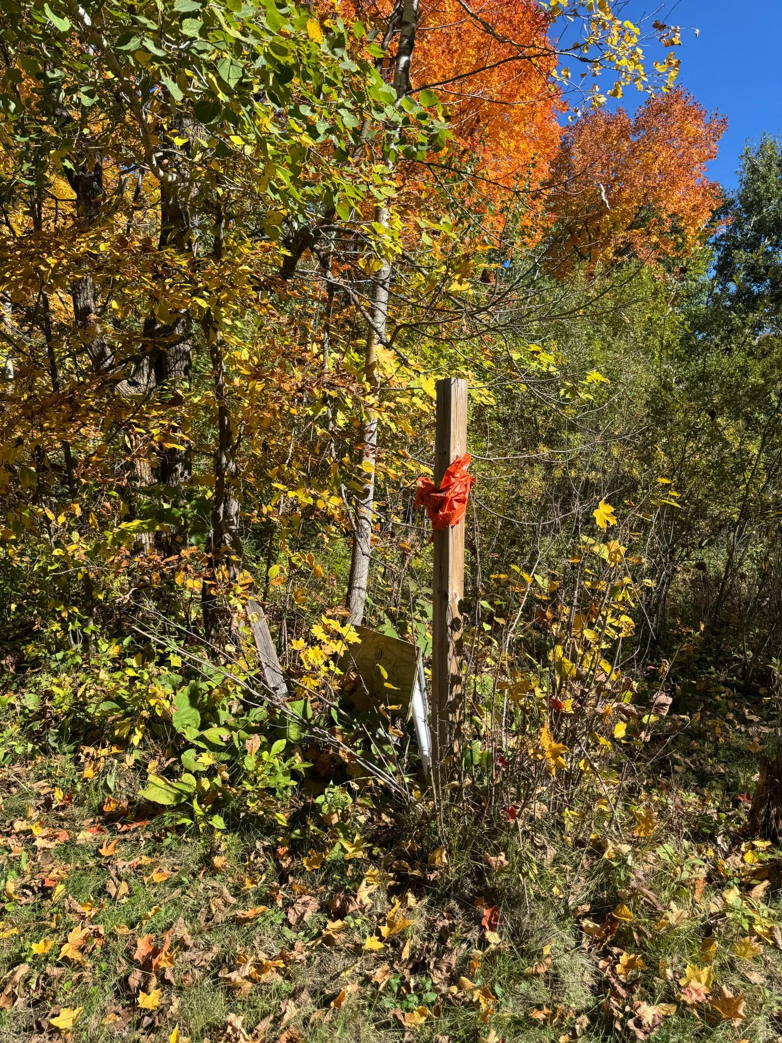 land for sale at 51265 Vagabond Loop in Bemidji, MN (photo 2 of 11)