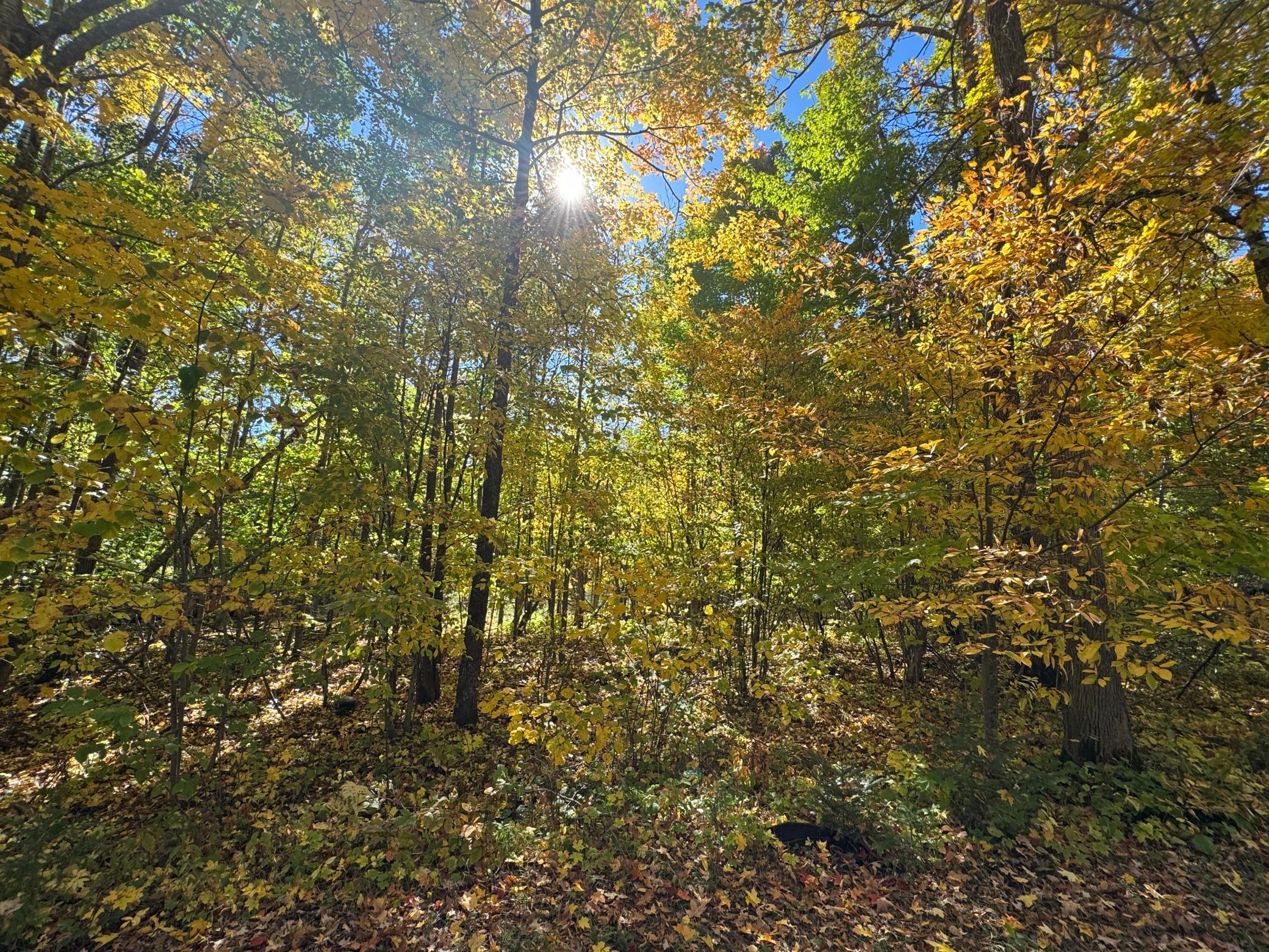 land for sale at 51265 Vagabond Loop in Bemidji, MN (photo 4 of 11)