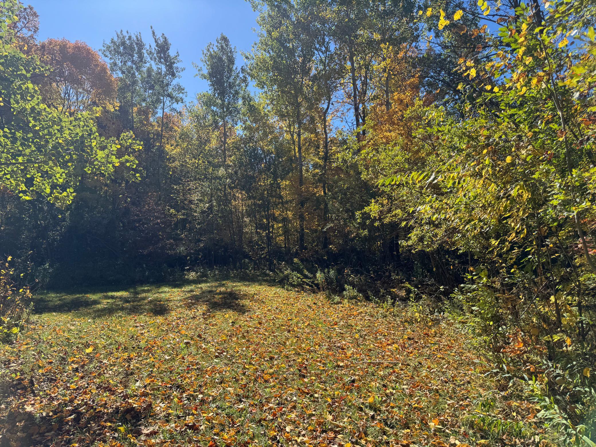 land for sale at 51265 Vagabond Loop in Bemidji, MN (photo 5 of 11)
