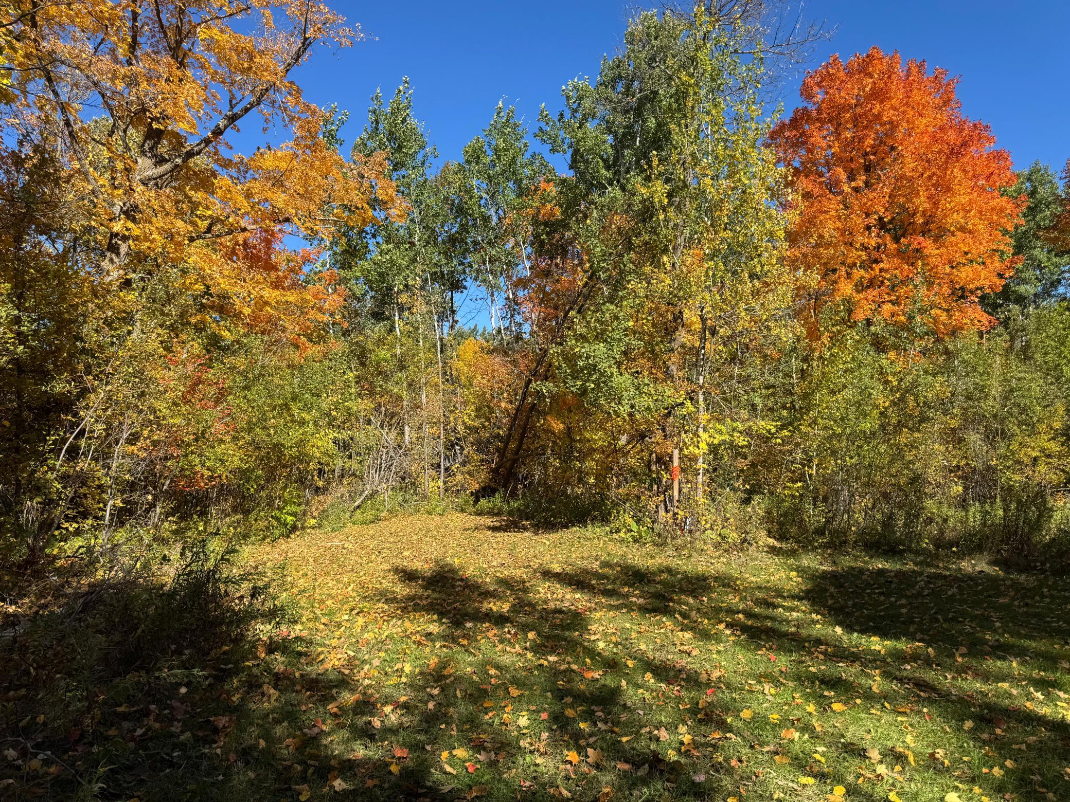land for sale at 51265 Vagabond Loop in Bemidji, MN (photo 6 of 11)