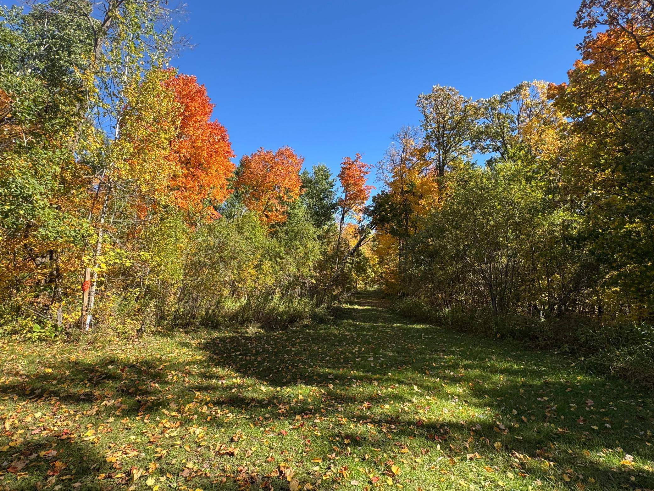 land for sale at 51265 Vagabond Loop in Bemidji, MN (photo 7 of 11)