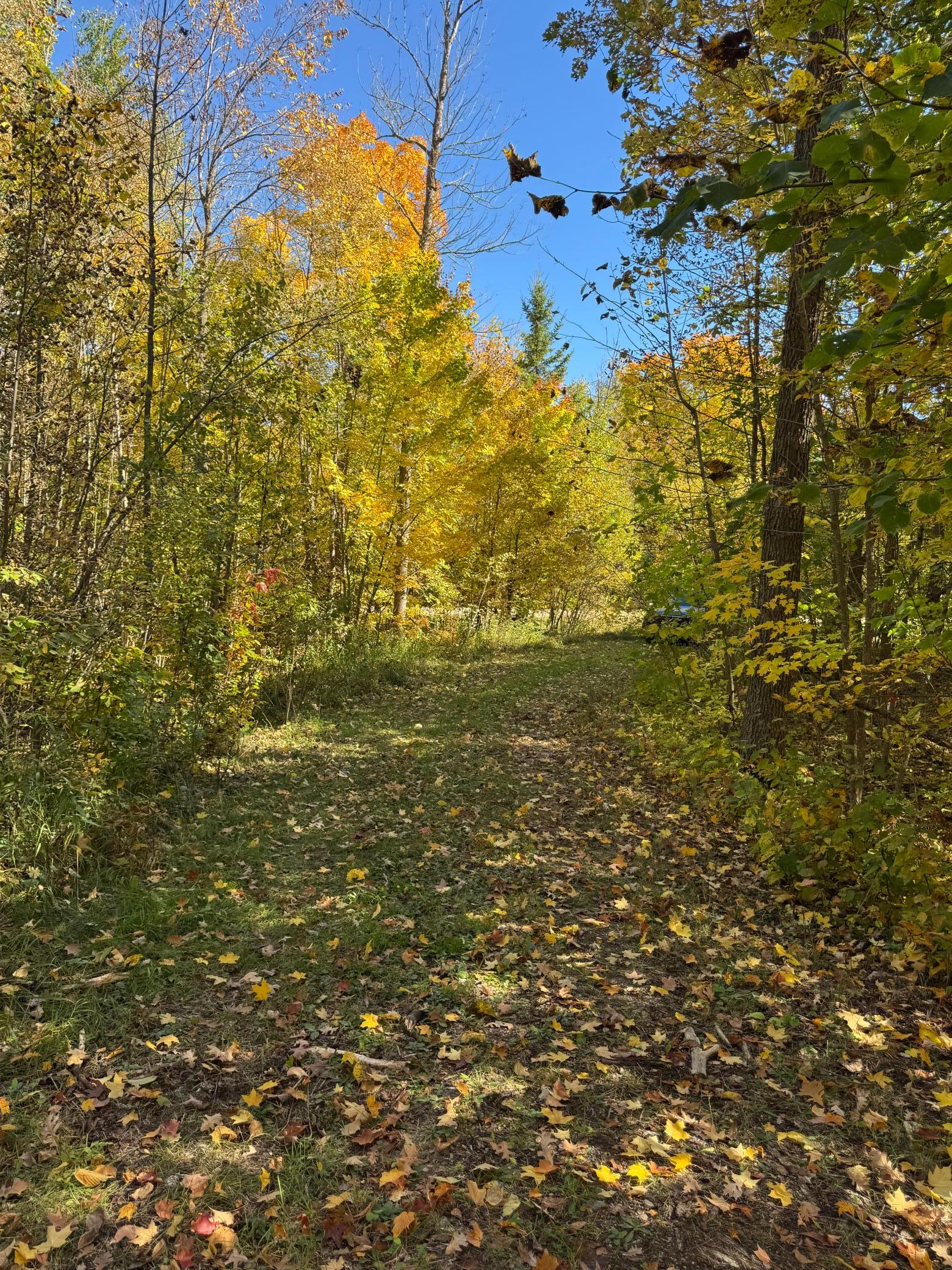 land for sale at 51265 Vagabond Loop in Bemidji, MN (photo 8 of 11)