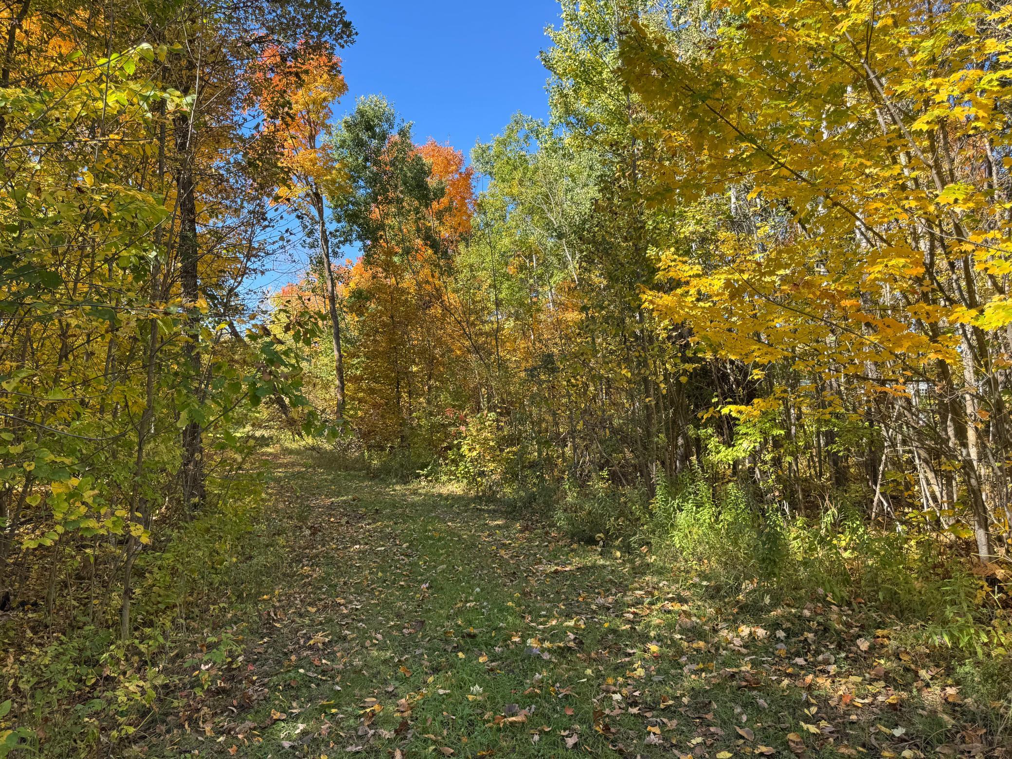 land for sale at 51265 Vagabond Loop in Bemidji, MN (photo 9 of 11)