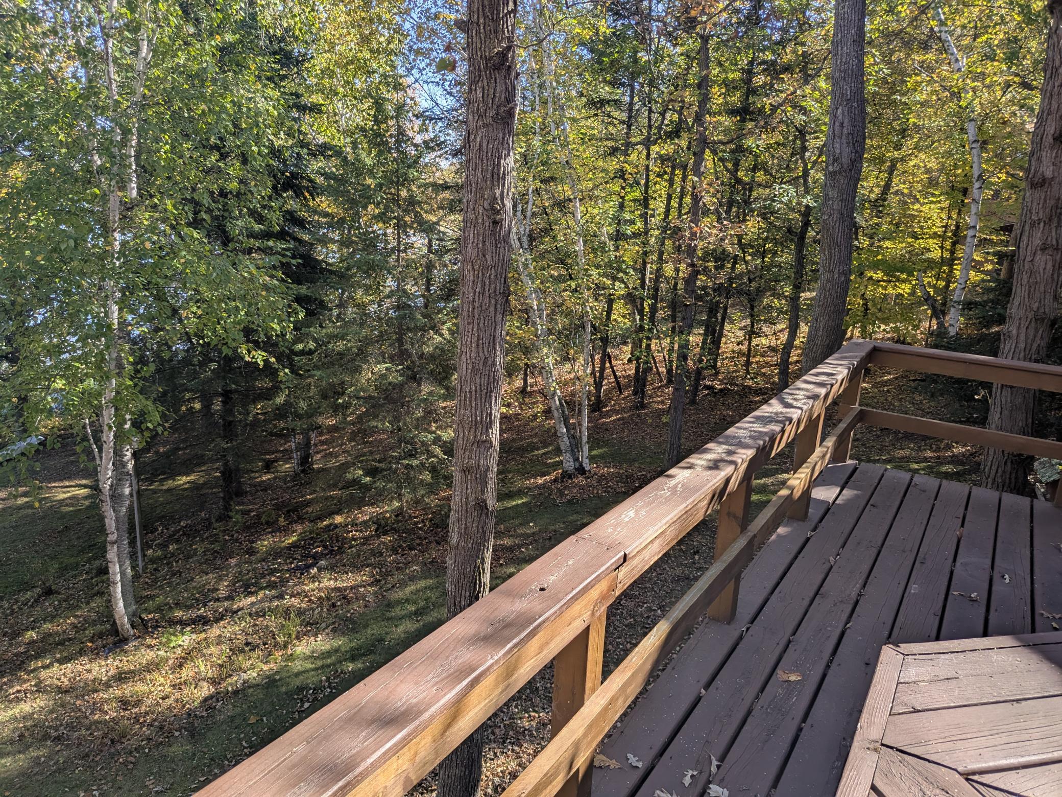 1992 single family home for sale at 24441 Evergreen Drive in Nevis, MN — 3 bed, 3 bath (photo 46 of 58)