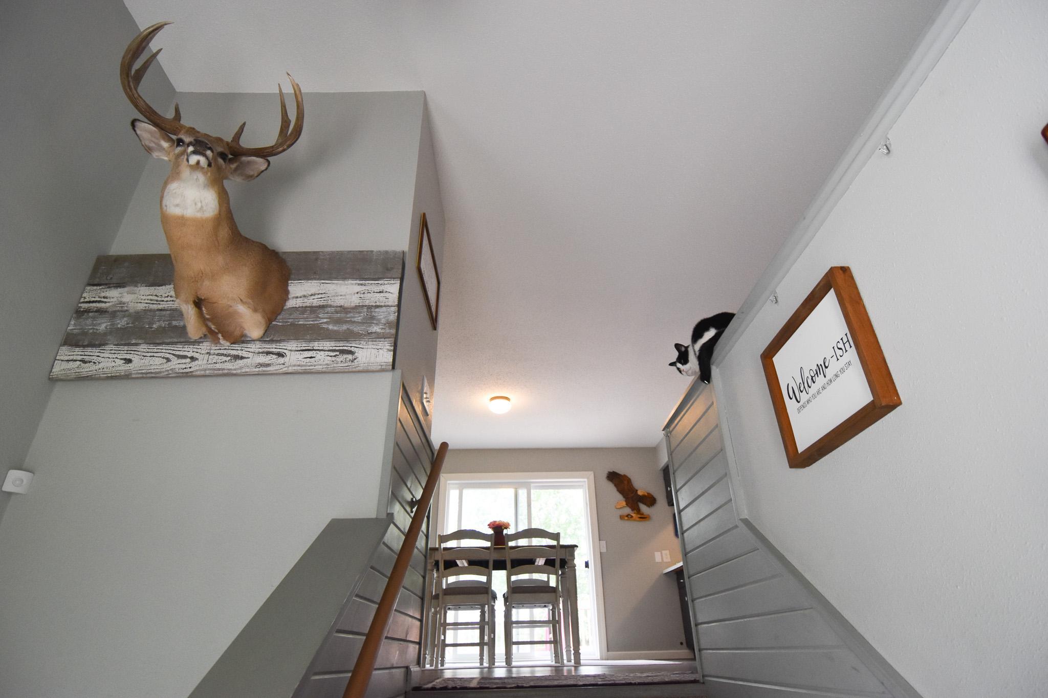 1979 single family home for sale at 16368 State Highway 1 NW in Thief River Falls, MN — 3 bed, 2 bath (photo 2 of 34)