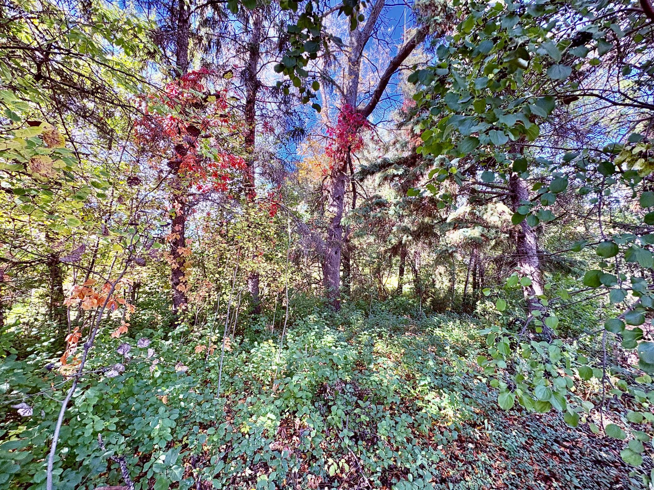 1950 single family home for sale at 412 2nd Street NW in Baudette, MN — 2 bed, 1 bath (photo 26 of 33)