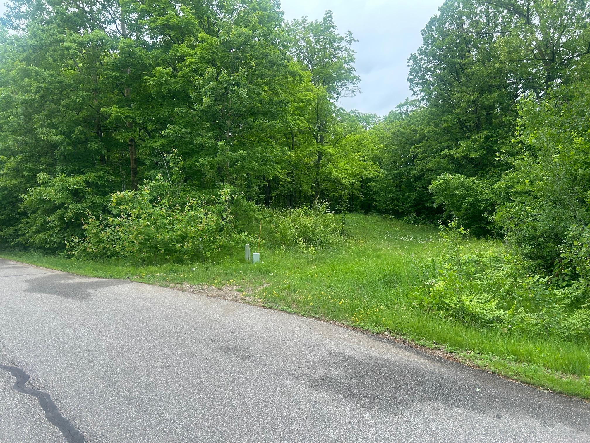 land for sale at 2803 Deschepper Drive in Grand Rapids, MN (photo 5 of 6)