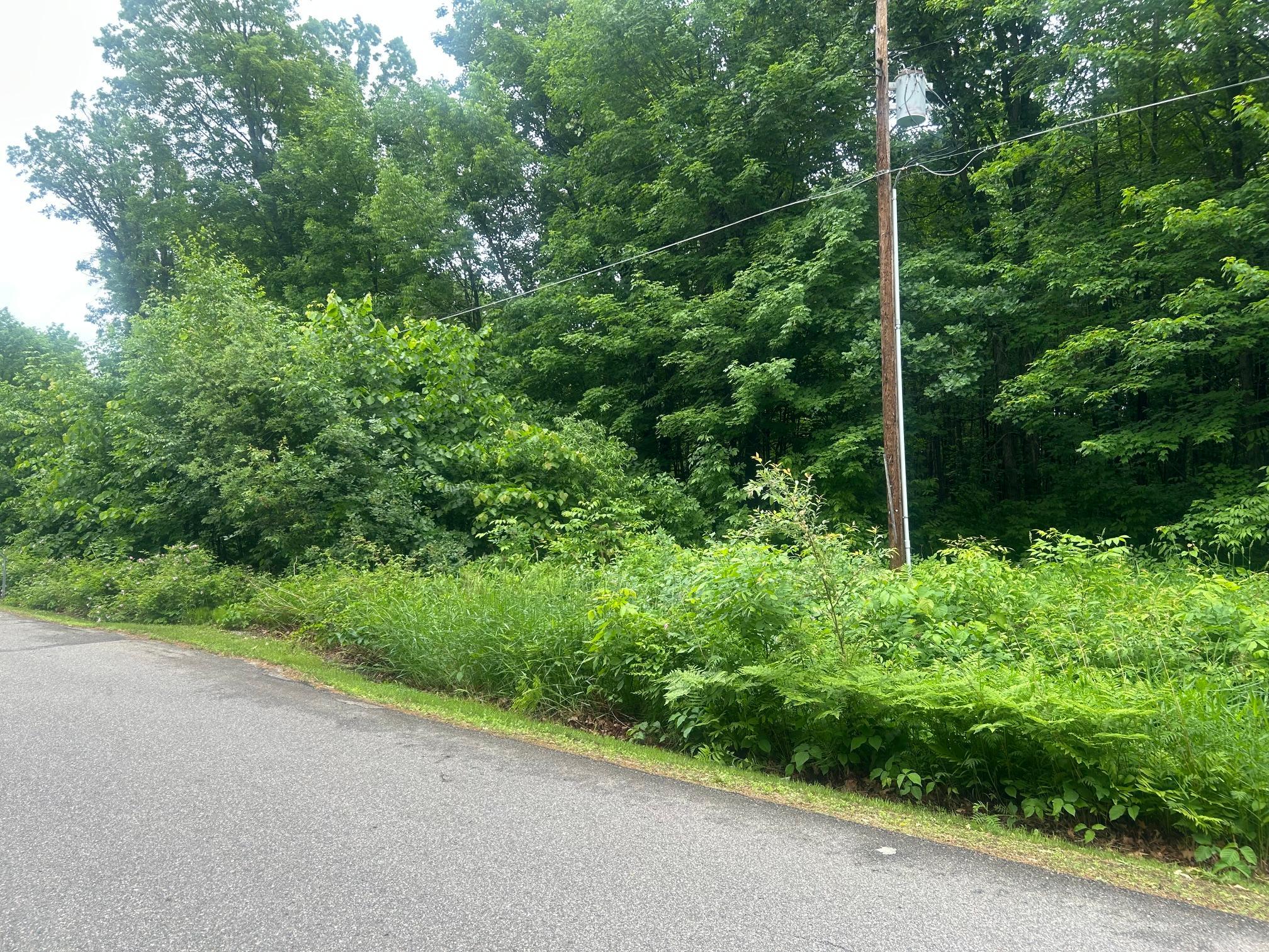 land for sale at tbd Deschepper Dr in Grand Rapids, MN (photo 4 of 6)