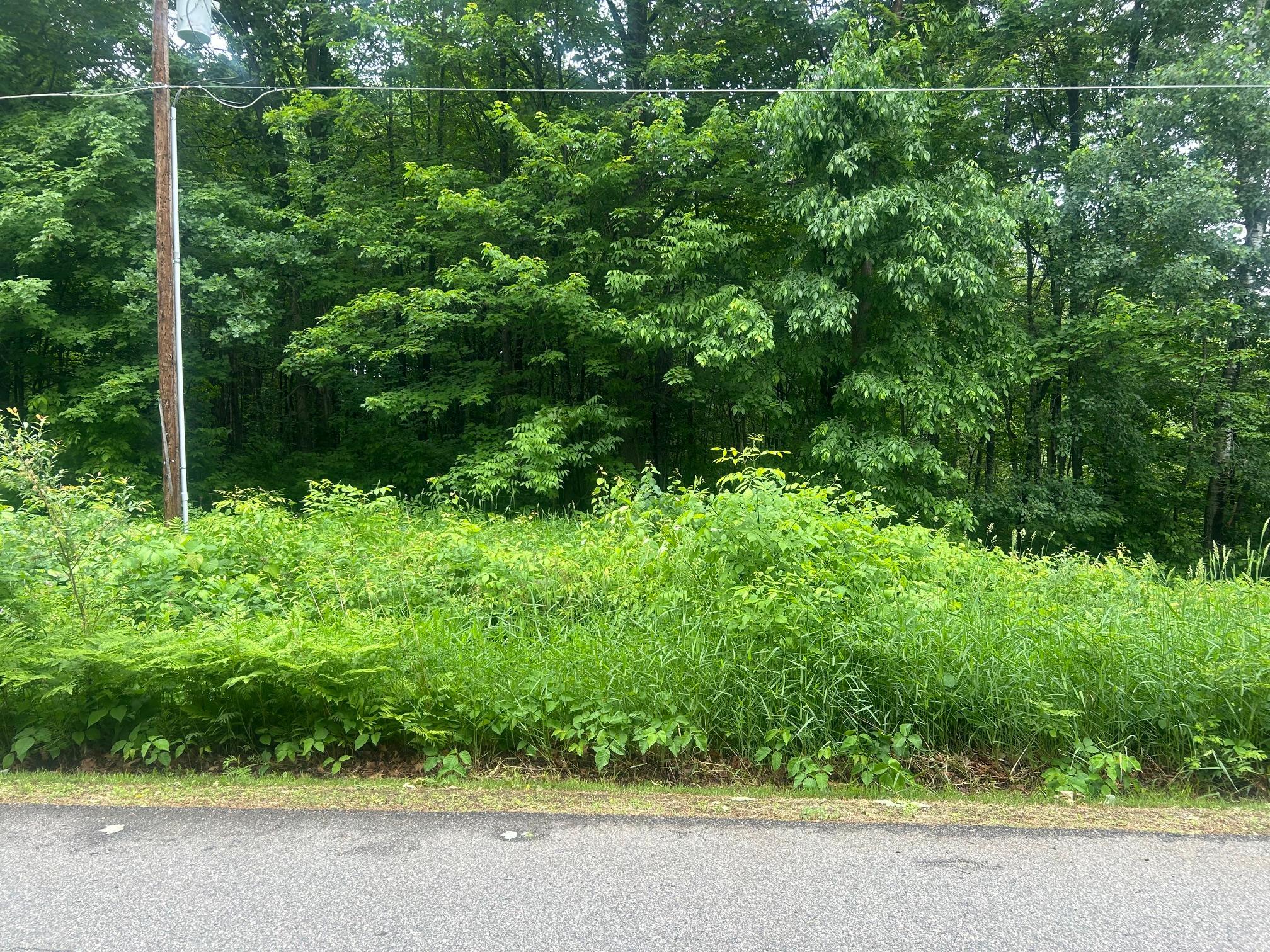 land for sale at tbd Deschepper Dr in Grand Rapids, MN (photo 5 of 6)
